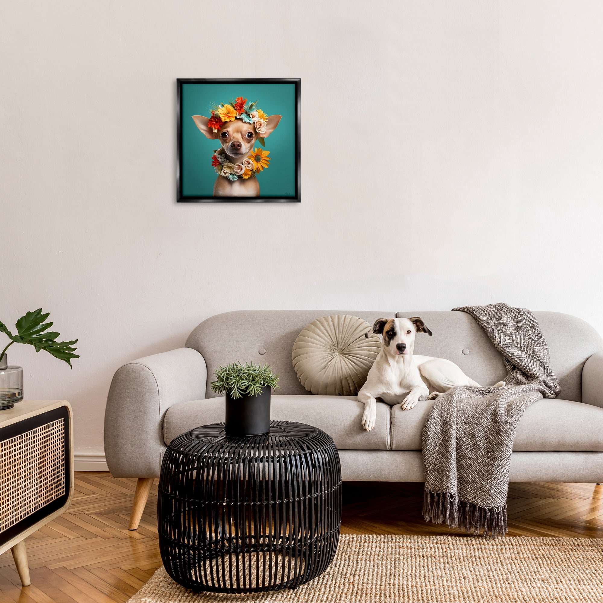 Stupell Industries Floral Chihuahua Portrait Animals & Insects Painting Black Floater Framed Canvas Art Print Wall Art, 25 x 25