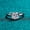 1 Carat, variant on Single 0.5&1 Carat D Color VVS1 Moissanite Womens Ring - 925 Sterling Silver Engagement Ring & Wedding Band Jewelry Gift with Certificate