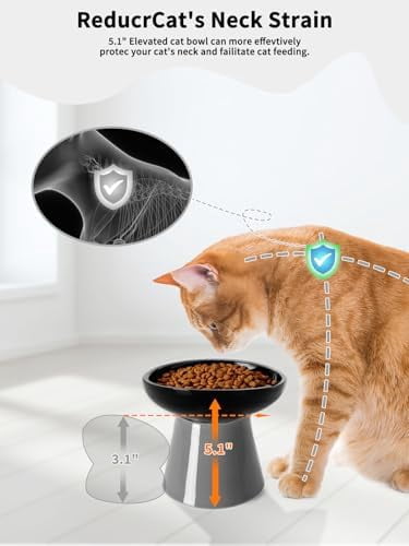 Elevated Cat Food and Water Bowls Set, Extra Wide and Raised Ceramic Feeder, Anti-Vomit Whisker-Free Pressure Feeding Bowl for Kittens Adult Small Dogs (Black, Food Bowl)