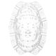 thumbnail image 1 of Molde reutilizable para frutas de ginseng, molde transparente para frutas pequeñas, molde para frutas de crecimiento pequeño, 1 of 7