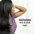 thumbnail image 6 of Sauve Professionals Rosemary and Mint Invigorating Shampoo and Conditioner Paraben free and Dye free for Dry and Damaged Hair 18 oz, 2 Count, 6 of 11