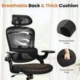 Ergonomic Mesh Office Chair with Adjustable Lumbar Support, Headrest