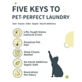 thumbnail image 3 of Detergente para ropa FurGone de Seedshub Pet Hair Remover, 3 of 6
