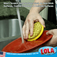 thumbnail image 5 of LOLA Round N' Round Wonder Scourer W/ Convenient Hang Hole, Non-Scratch Scouring Pad, 5 of 7