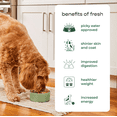 thumbnail image 3 of Freshpet Dog Treat, Dog Joy Wood-Smoked Turkey Bacon Treat, 3 oz Bag, 3 of 6