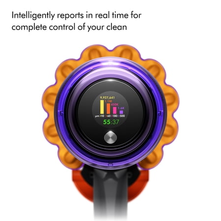 Image not found