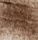Soft Brown