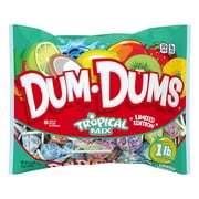 Dum Dums Limited Edition Flavor Mix Lollipops & Suckers, Party Candy Hard Candy, 16 oz Bag