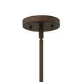 thumbnail image 2 of Hinkley Lighting - Congress - 1 Light Globe Pendant in Traditional Style - 7, 2 of 7