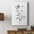thumbnail image 5 of Wild Poppy Sketch Premium Gallery Wrapped Canvas - Ready to Hang, 5 of 9