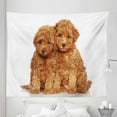 thumbnail image 1 of Poodle Tapestry, Puppies Cozily Posing on a Plain Background Animal Lover, Fabric Wall Hanging Decor for Bedroom Living Room Dorm, 5 Sizes, Pale Caramel Sand Brown, by Ambesonne, 1 of 1