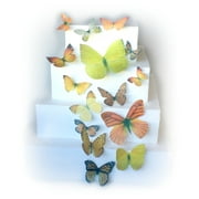 Orange and Yellow Assorted Sizes Wafer Paper Butterflies for Decorating Desserts Cupcakes Wedding Cakes Pack of 15
