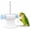 Blue, variant on Bird Shredding Toy with Hanging Foraging Paper Roller & Metal Chain, Chewing Enrichment Cage Accessory for Cockatiel Conure Parakeet Medium Birds (Green)