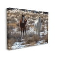 thumbnail image 3 of Stupell Industries Pair Horses Walking Through Snow Dusted Grassland Photograph Gallery Wrapped Canvas Print Wall Art, Design by Jeff Poe Photography, 3 of 7