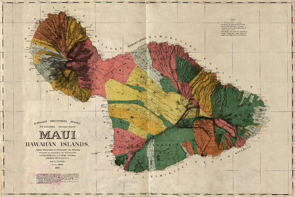 Maui, Hawaii, (1885), Panoramic Map (16x24 Giclee Gallery Art Print