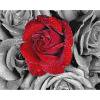 Cuadros Decorativos Pintura de diamantes 5D DIY Rose Round Drill Rhinestone Picture Craft (B3244) Sywqhk Nuevos Originales