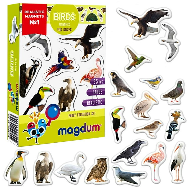 Imanes para refrigerador para niños magdum, 25 imanes realistas de aves