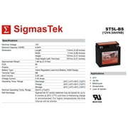Duralast CT5L-BSFP Battery (Replacement)