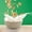 Beige, variant on LACKUST Drop Resistant Ramen Bowls Noodles,Ramen Bowl Children's Soup Bowl,Fall- Household Instant Tableware Ramen Bowl for Home Kitchen Office College Dorm Room,Beige
