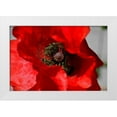 thumbnail image 3 of Brian Moore 14x11 White Modern Wood Framed Wall Art Titled - Red Poppy I, 3 of 5