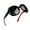 B04-Black Red Frame/Black Lens, variant on Joopin Polarized Sunglasses Womens Trendy Oversized Large Driving Sun Glasses Ladies UV Protective Big Sunnies Shades (Blue)