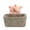 A1, variant on Cute Pig Pots Garden Fun Succulent Potted Desktop Plants Pots Bonsai Funny Plants Holder