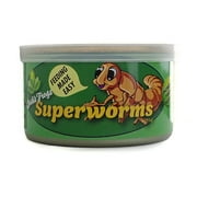 Josh's Frogs Canned Superworms (35g)