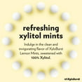 thumbnail image 3 of XyloBurst - Xylitol Mints | Sugar Free Breath Freshener for Oral Health | Gluten Free, Vegan, Keto Friendly | Aspartame Free | Lemon | 275 Count, 3 of 6