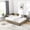 Brown, variant on Noble House Carola Full Size Velvet Daybed Frame, Tufted Upholstered Sofa Bed with Underbed Storage Drawers, Black