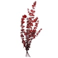 thumbnail image 1 of Dolar Natural Follaje Rojo Aromatico 75cm Navidad Mylin 1pz, 1 of 1