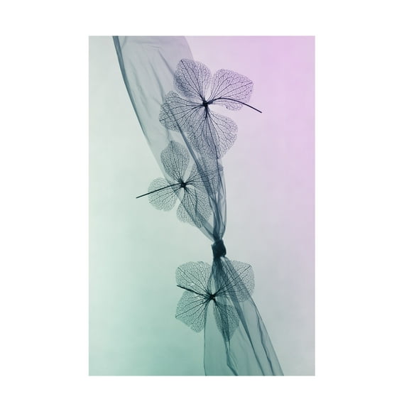 Trademark Fine Art Shihya Kowatari 3 Flowers Canvas Wall Art