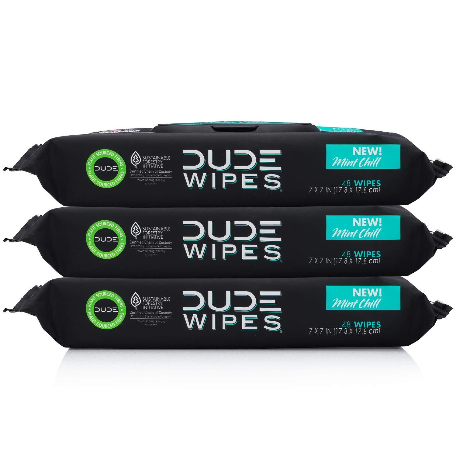 DUDE Flushable Wipes for Men, Mint Chill, 3 Pack, 144 Count - Walmart