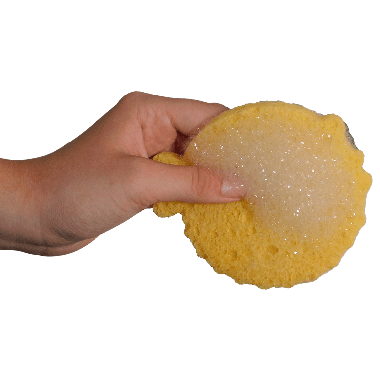 Disposable best sale kitchen sponges