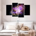 thumbnail image 2 of Elephant Stock Sparkling Crab Nebula Wall Art - Horizontal Multi Panel Canvas - Living Room Wall Decor - Astronomy & Space Multi Panel - Black And Beige Decor By Nasa - 52" x 32", 2 of 8