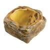 Exoterra Water Dish, X-Small