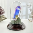 thumbnail image 2 of Plymor 1.85" x 3.5" Mini Glass Display Dome Cloche (Dark Mahogany Veneer Base), 2 of 2