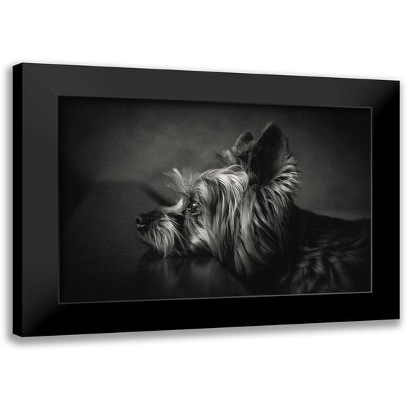 Lacz, Krisztina 14x11 Black Modern Framed Museum Art Print Titled - I have been waiting for you ...
