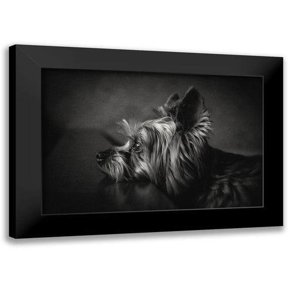 Lacz, Krisztina 24x17 Black Modern Framed Museum Art Print Titled - I have been waiting for you ...