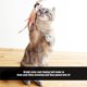 thumbnail image 2 of Juguete Duradero Y Firme ANGGREK Juguete Para Gatos Peek And Play 90 cm, 2 of 8