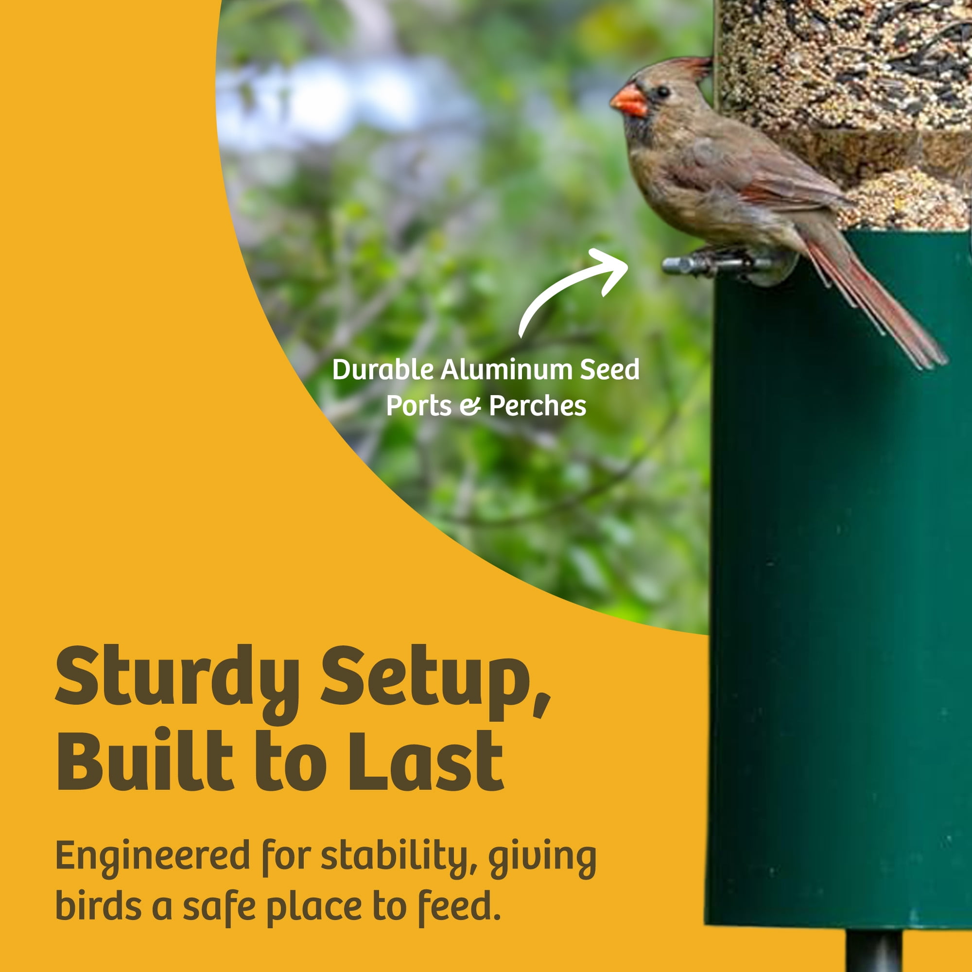 Birds Choice Squirrel Proof Bird Feeder with Pole and Squirrel Baffle, Green