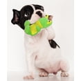 thumbnail image 6 of TinyToy Green Frog Plush Dog Toy for Small Dogs, 6 of 6