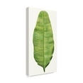 thumbnail image 2 of Trademark Fine Art 'Tropical Breeze Leaves IV' Canvas Art by Naomi McCavitt, 2 of 4