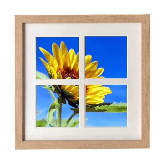 Girasoles Azul cielo Sunshine Flower Pantalla de escritorio de pared de marco 4 aperturas