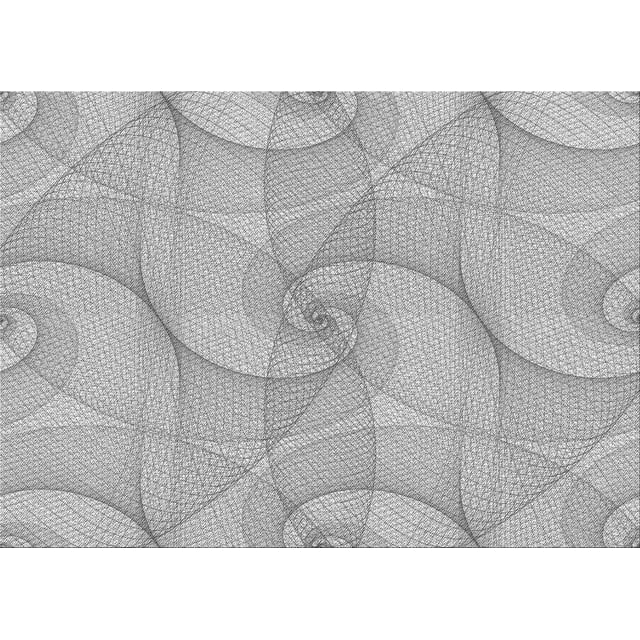 Ahgly Company Tapis d'Intérieur Lavables en Machine Rectangle Transitionnel Gris Platine Argenté, 5' x 8'