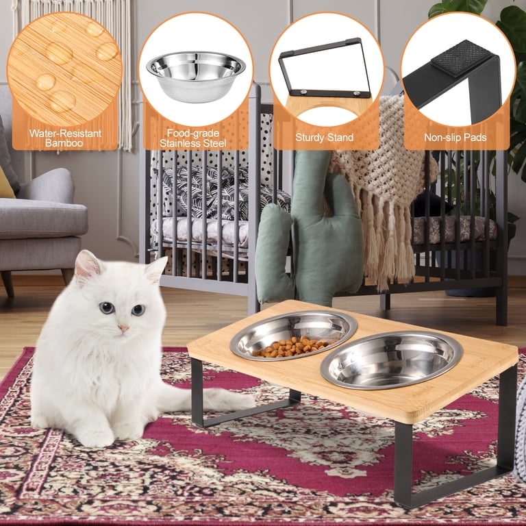 Qweryboo Elevated Stainless Steel Cat Bowls, 15-Degree Tilt photo 6