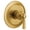 Brushed Gold, variant on Moen Uts3911 Flara 1 Function Pressure Balanced Valve Trim Only - Gold