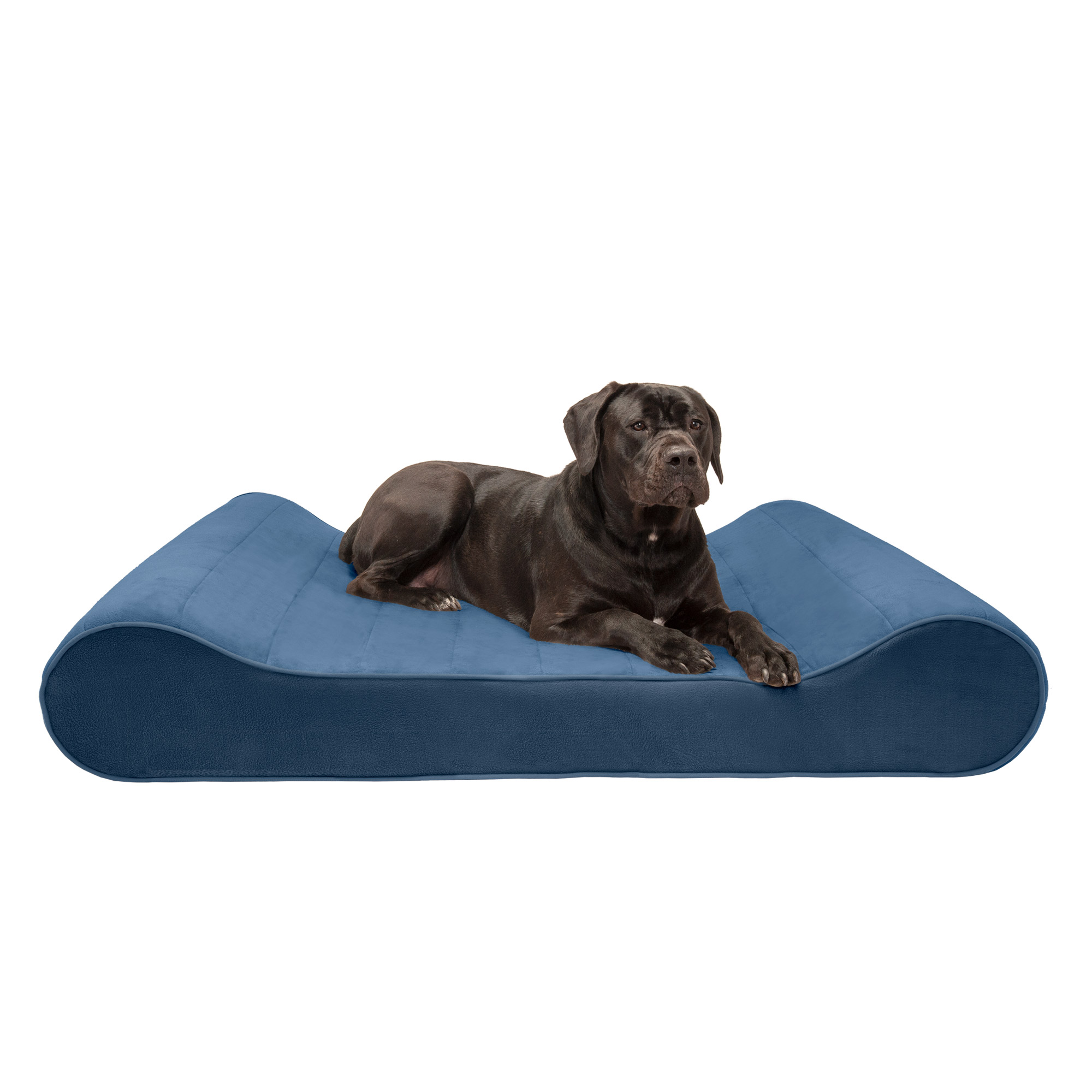 Furhaven Pet Dog Bed Memory Foam Microvelvet Luxe Lounger Pet Bed For Dogs Cats Stellar Blue Giant Walmart Com Walmart Com
