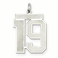 thumbnail image 1 of Sterling Silver Rhodium-plated Large Satin Number 19 Charm QPP19 (25mm x 21mm), 1 of 2