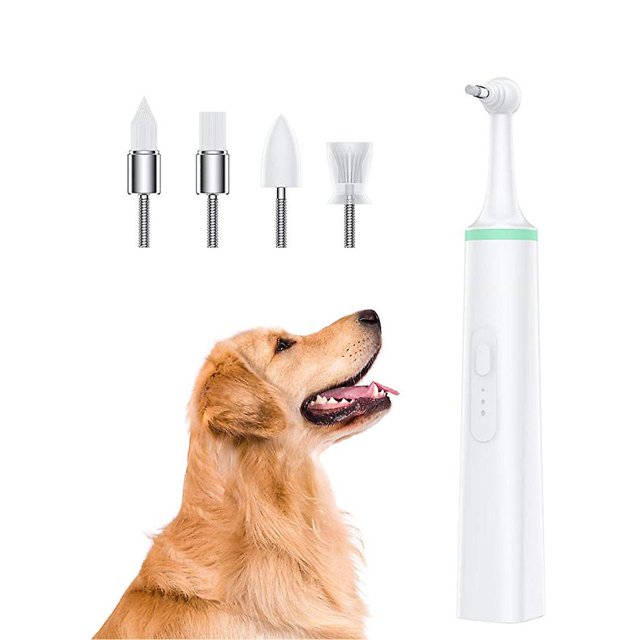 Removedor de placa Dental para perros de buena calidad, máquina pulidora de dientes eléctrica, 1 unidad, verde esquí esquí Gafas de esquí