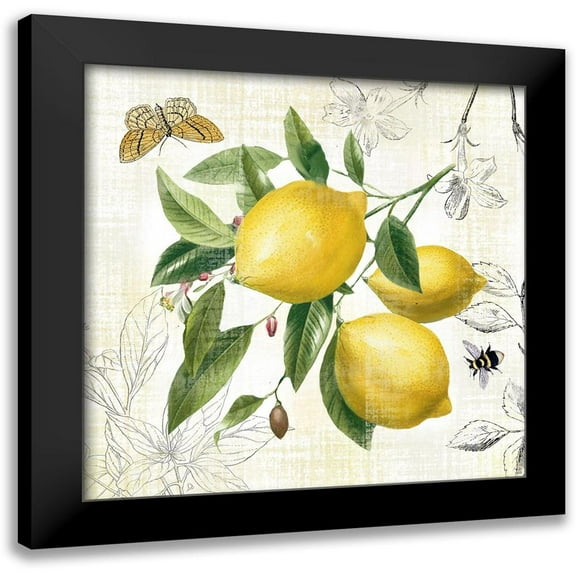 Nan 12x12 Black Modern Framed Museum Art Print Titled - Linen Lemons II